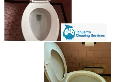 Home Cleaner