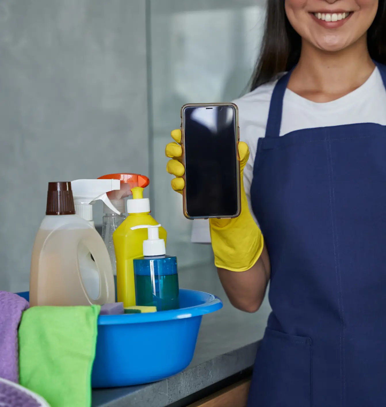Professional House Cleaning Professional House Cleaning
